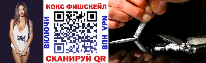 Купить Каменка Cocaine Fish Scale